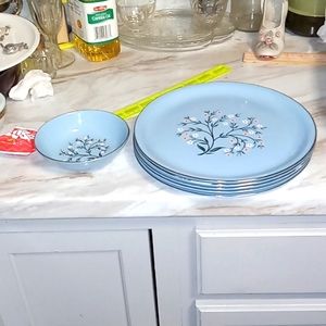 10 inch dinner plates